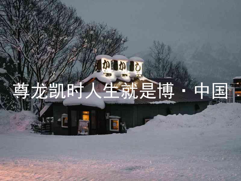 尊龙凯时人生就是博·中国